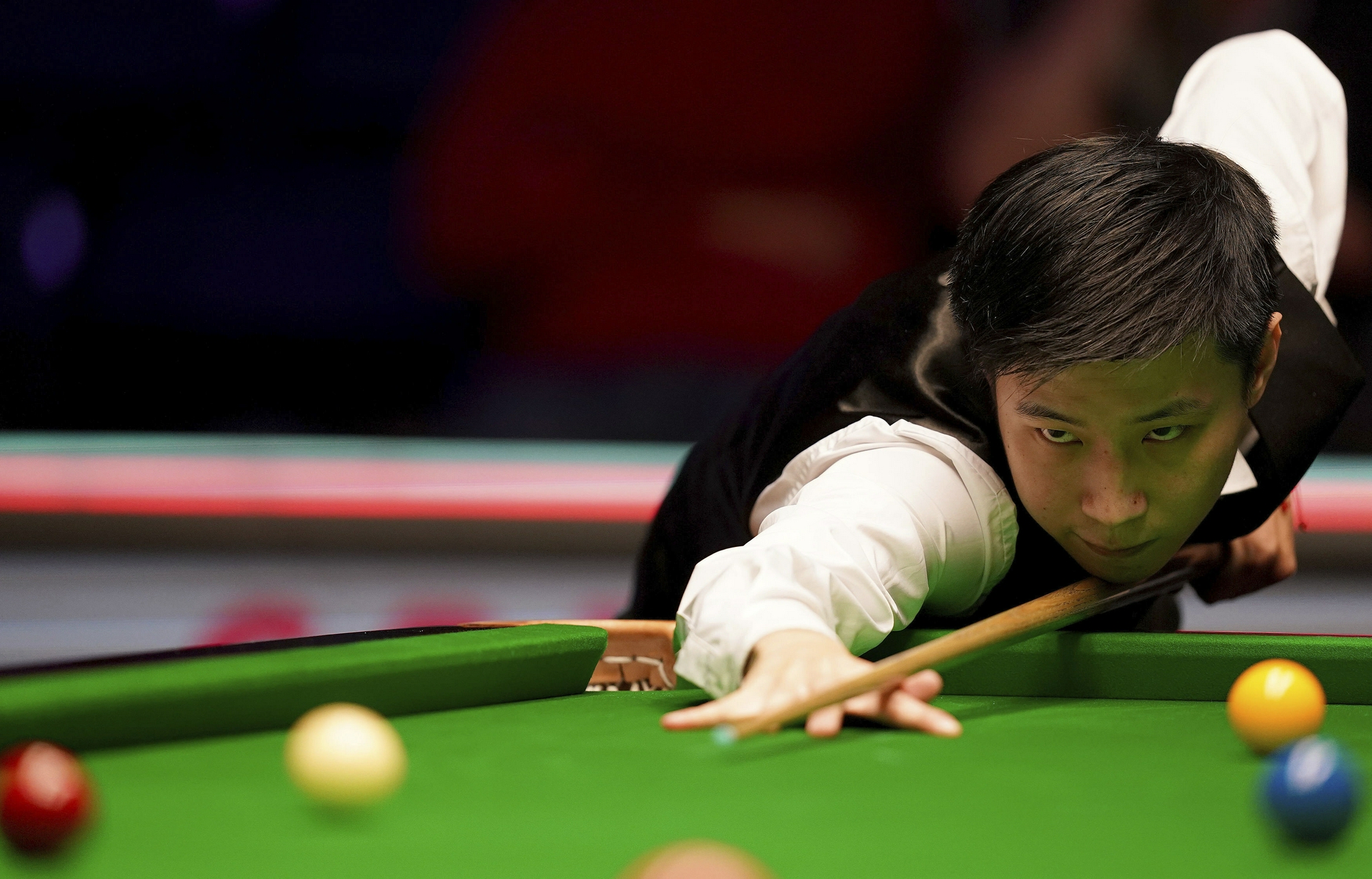 能够为整个 能够为整个